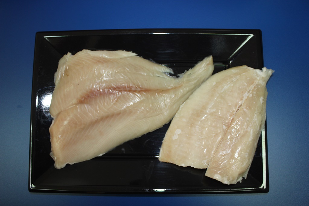 Palometa