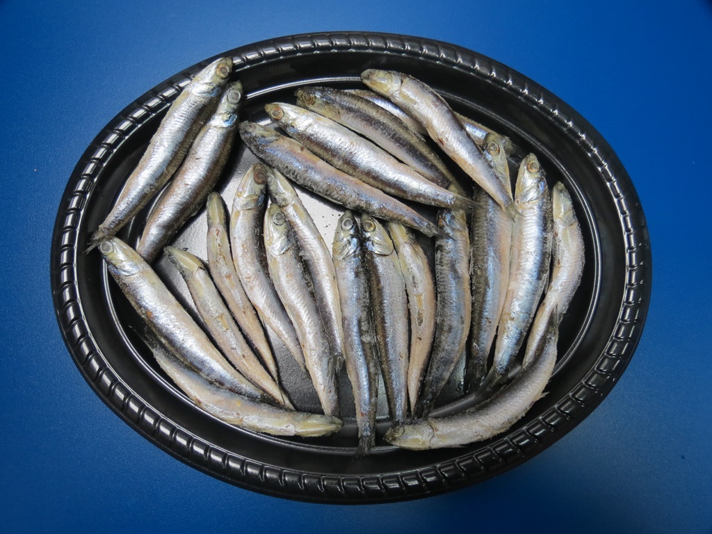 Boquerón