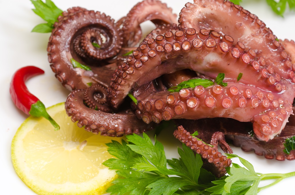Pulpo Marroquí