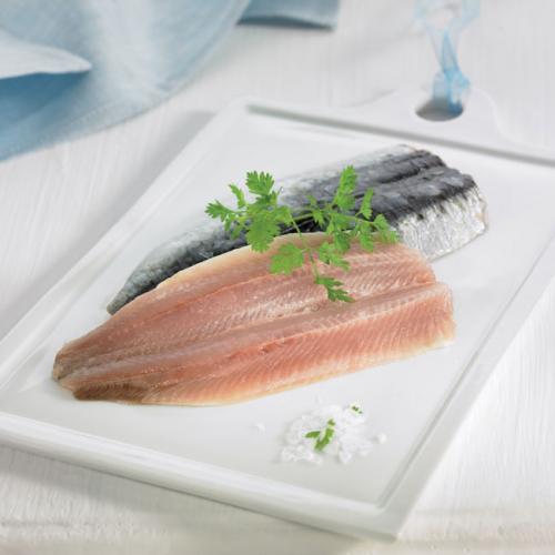 Sardina