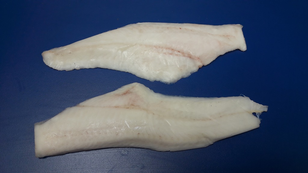 Merluza 