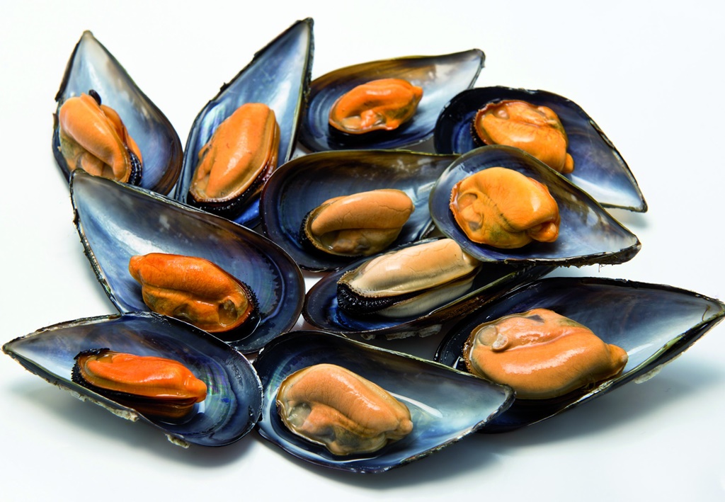 Mejillones