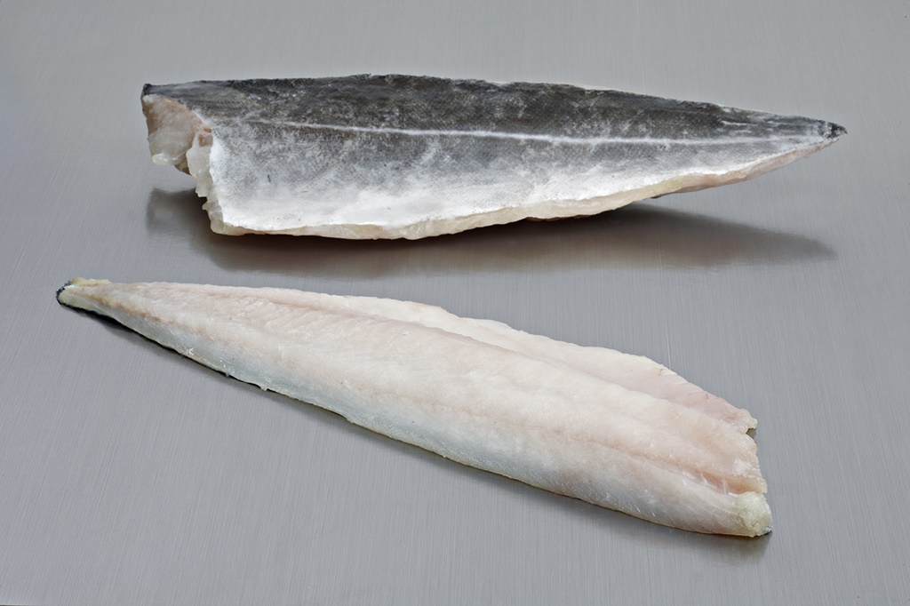 Fogonero/Carbonero