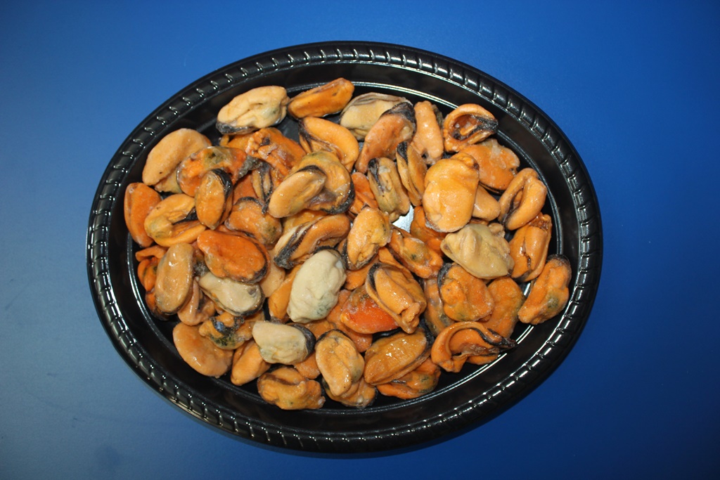 Mejillones