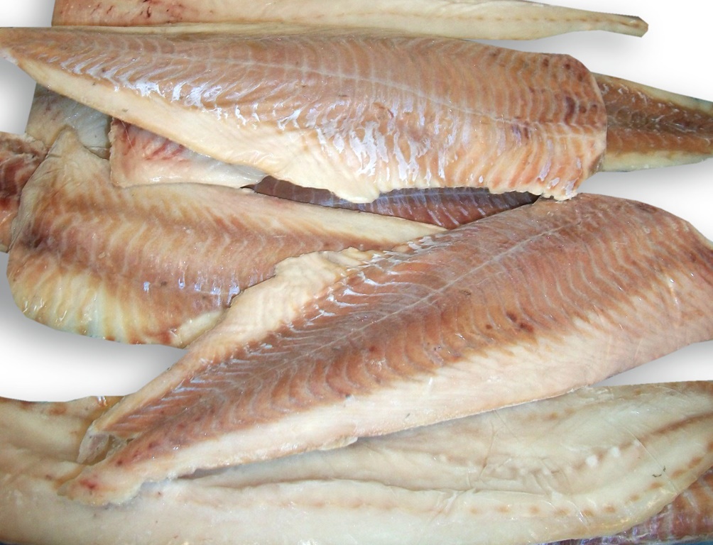 Fogonero/Carbonero