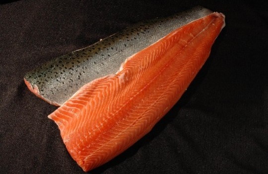 Salmón
