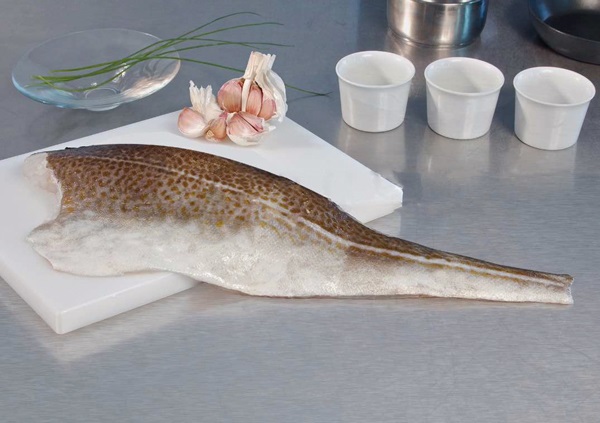 Bacalao