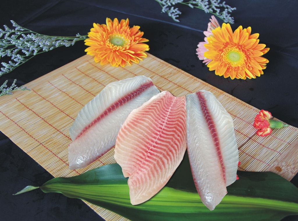 Tilapia